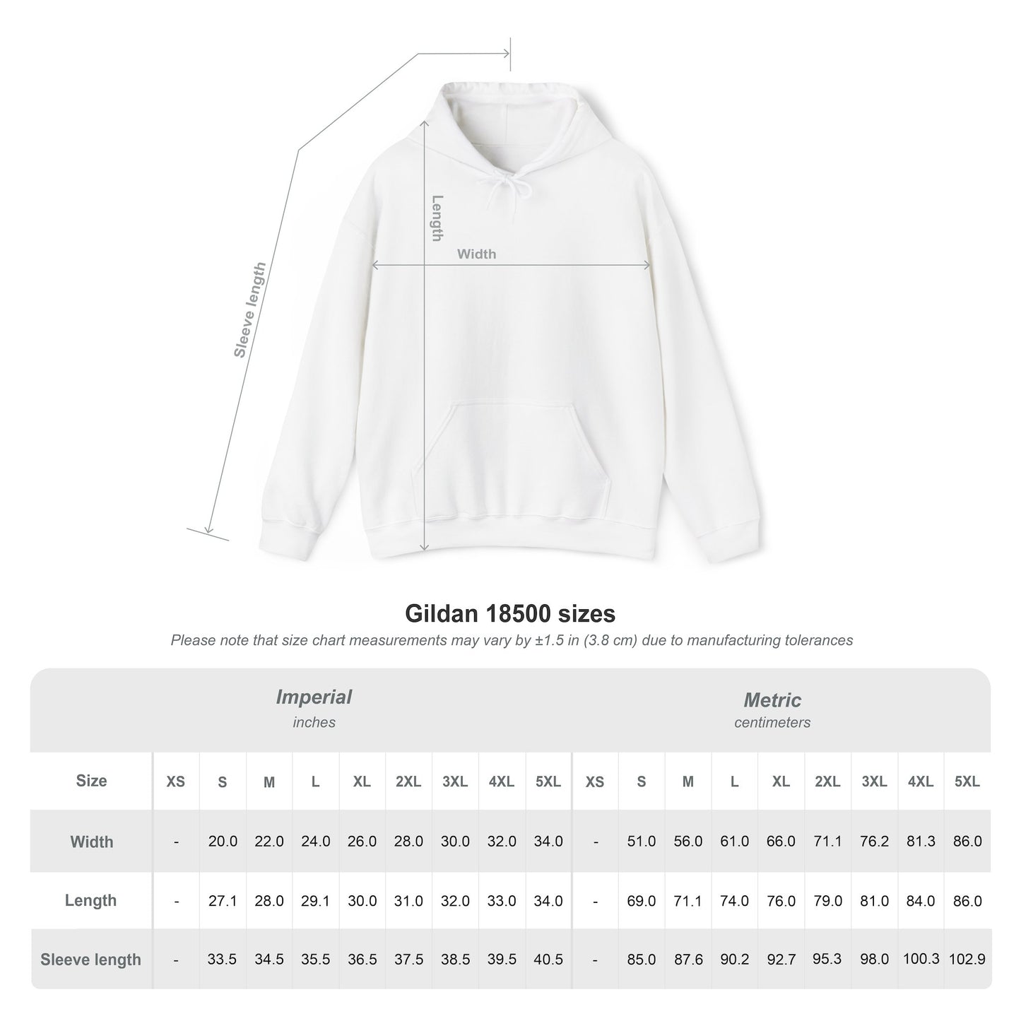 Bloodwing Academy Gildan Hoodie | Officially Licensed Briar Boleyn Fantasy Romance Hoodie
