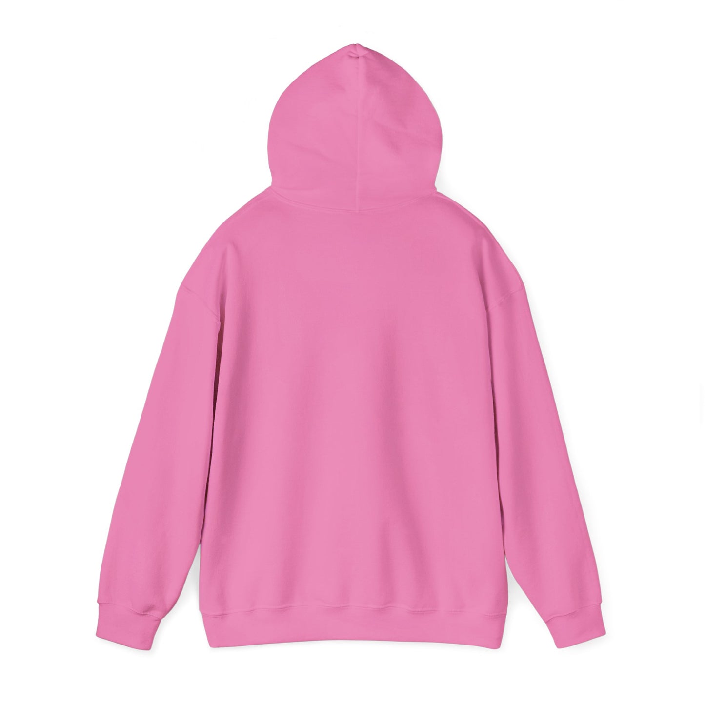The Traveler Hoodie - Gildan