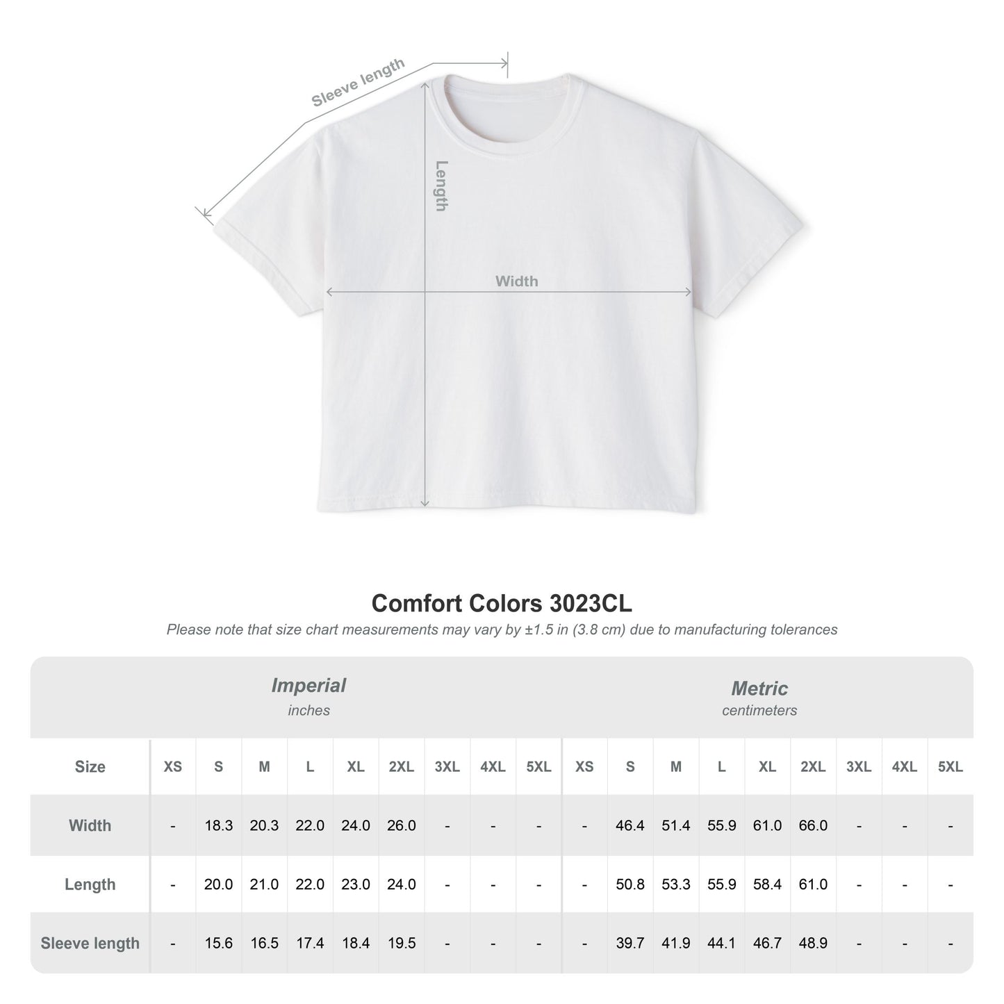 Amas Veritas Boxy Crop Tee