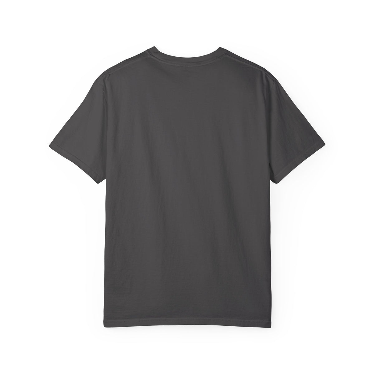 Ex Sanguine Tee | Officially Licensed Bloodwing Academy Shirt | Briar Boleyn Merch | Comfort Colors Bookish Tee | Dark Academia Romantasy Gift