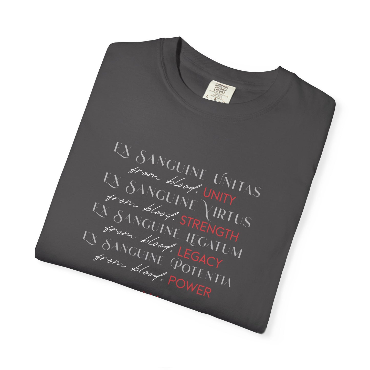 Ex Sanguine Tee | Officially Licensed Bloodwing Academy Shirt | Briar Boleyn Merch | Comfort Colors Bookish Tee | Dark Academia Romantasy Gift
