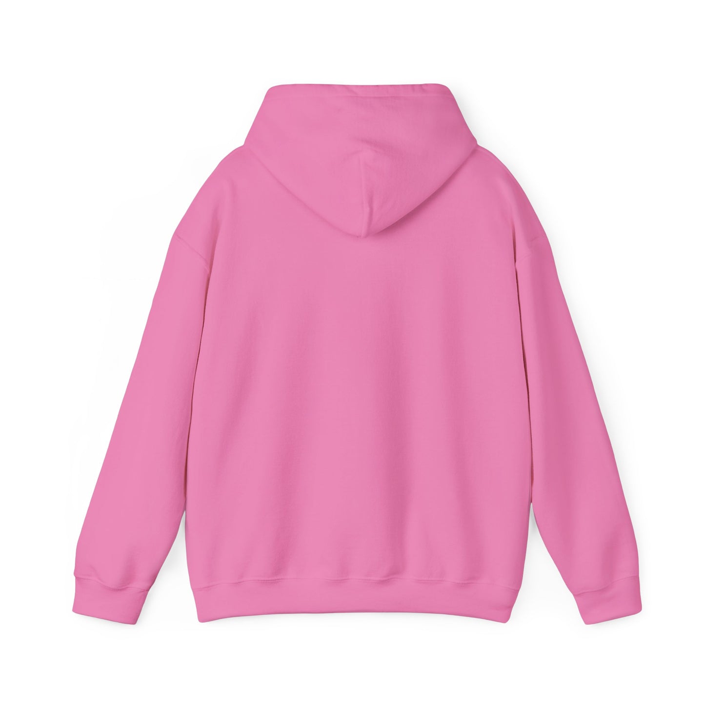 The Traveler Hoodie - Gildan
