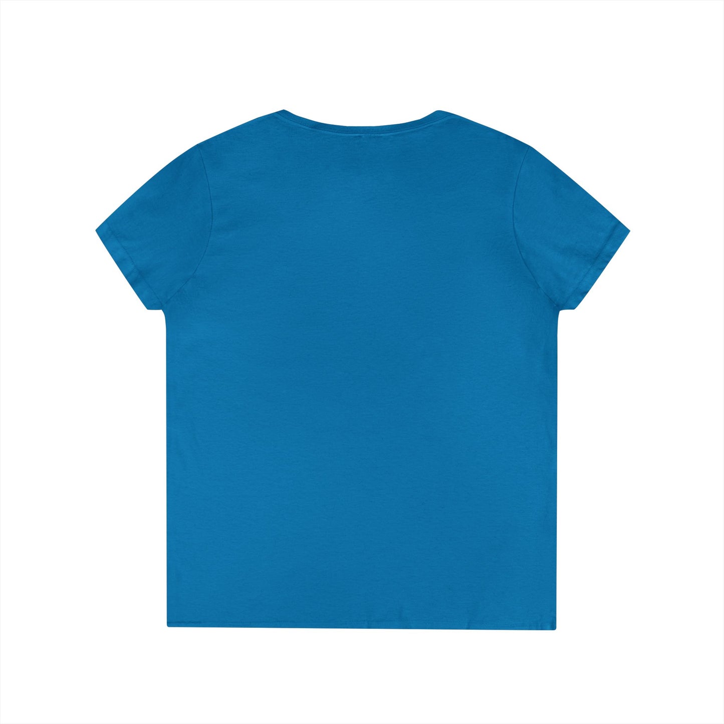 Don’t Worry I’ve Got a Plan Gildan V-Neck T-Shirt