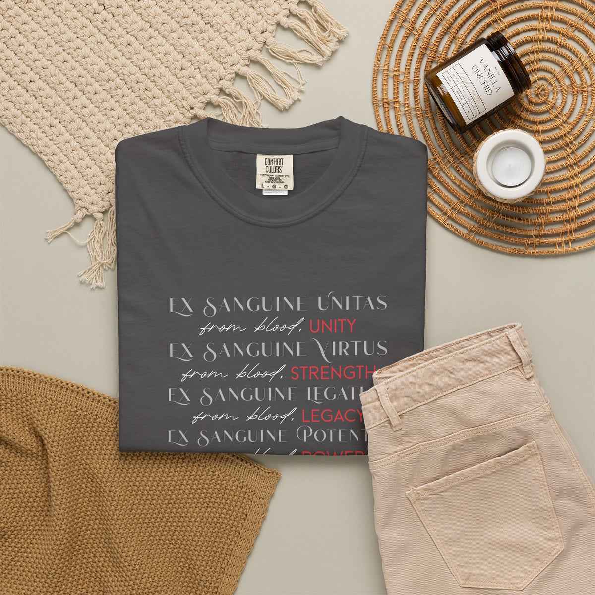 Ex Sanguine Tee | Officially Licensed Bloodwing Academy Shirt | Briar Boleyn Merch | Comfort Colors Bookish Tee | Dark Academia Romantasy Gift