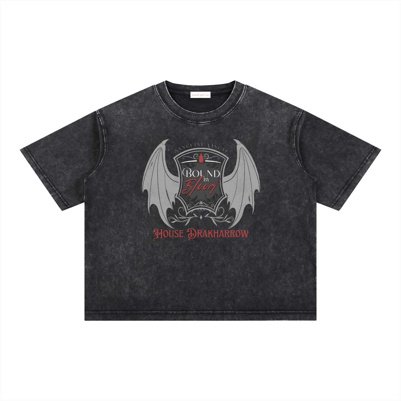 House Drakharrow Mineral Oversized Mineral Wash Tee | Briar Boleyn | Officially Licensed Bloodwing Academy Merch