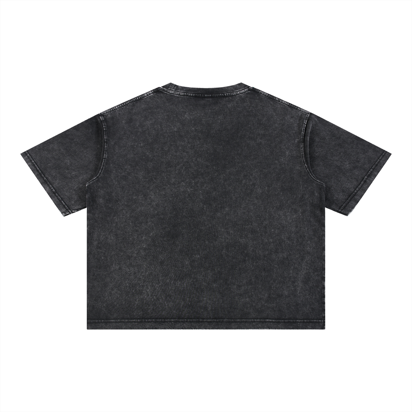House Avari Mineral Wash Oversized Cotton Tee | Briar Boleyn | Officially Licensed Bloodwing Academy Merch