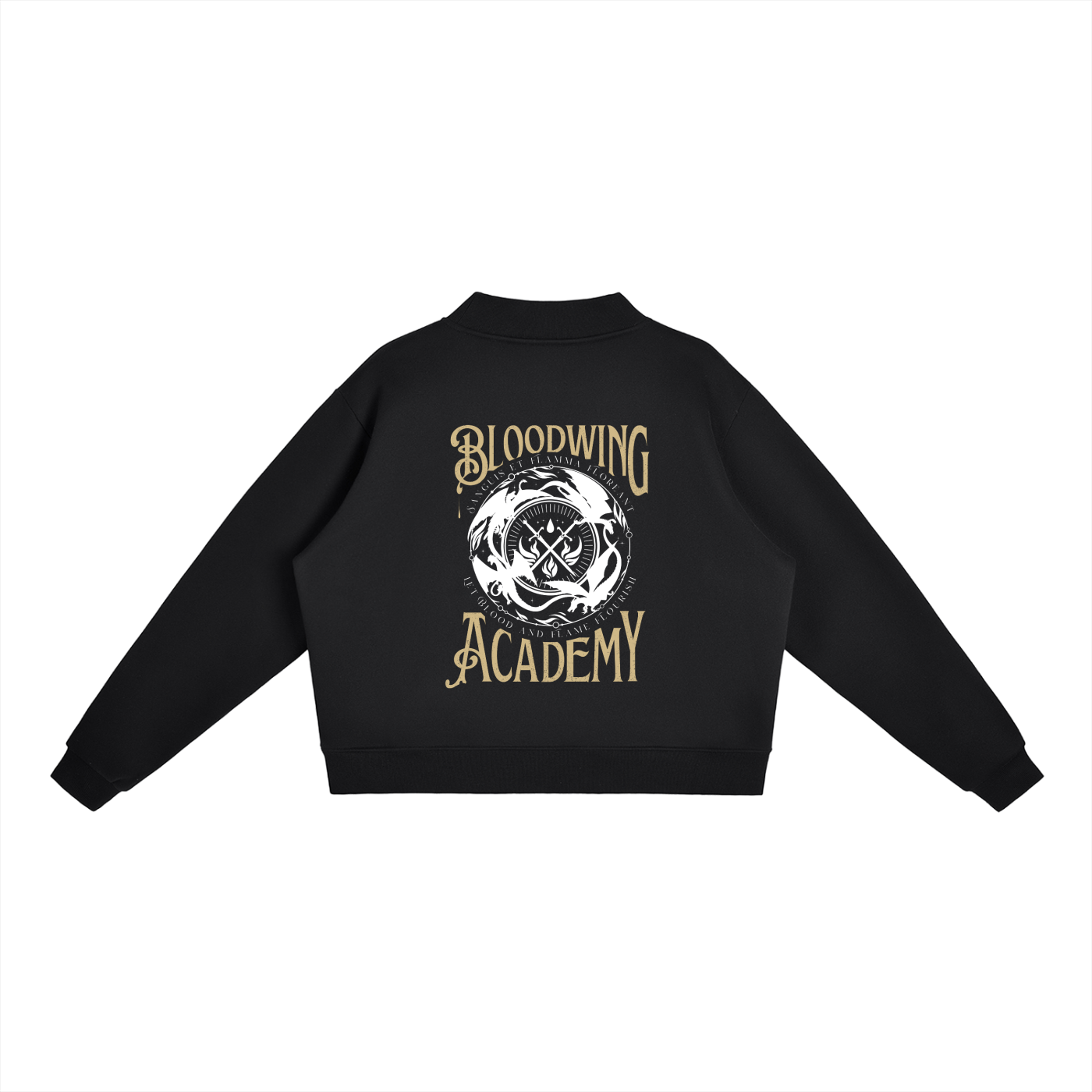 Bloodwing Academy Mock Neck Sweatshirt | Briar Boleyn Officially Licensed Romantasy Apparel